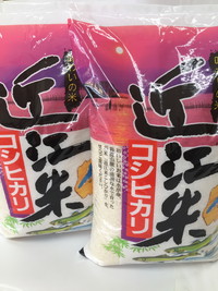 【新米】令和8年産　近江米　こしひかり【10kg（5kg×2袋）】【T020W4】（滋賀県　近江八幡市）