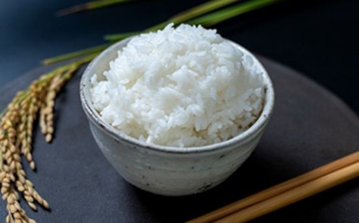 環境こだわり米　きらみずき　5kg【Q004W】（滋賀県　近江八幡市）