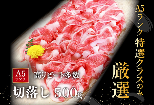 【げんさん】近江牛A5ランク切落し【500g】【訳あり】【DG12W】（国産牛　和牛　ブランド牛　ブランド和牛　黒毛和牛　牛肉　肉　高級　人気　おすすめ　神戸牛　松阪牛 に並ぶ 日本三大和牛 近江牛）
