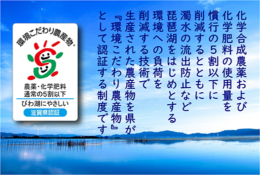 【7年産】近江米 環境こだわり米 コシヒカリ 無洗米 【10kg×1】【BN01W2】（滋賀県　近江八幡市）