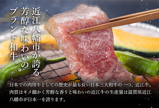 【4等級以上】極上近江牛焼肉用（バラ）【500g】【AG06W】