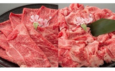 近江牛二種セット【1kg（赤身スライス500ｇ、切り落とし500ｇ）】【AC13W】（滋賀県　近江八幡市）