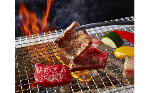 【定期便】２か月に１回　特撰近江牛定期便　焼肉３種食べ比べセット全6回【FO45W】（国産牛　和牛　ブランド牛　ブランド和牛　黒毛和牛　牛肉　肉　高級　人気　おすすめ　神戸牛　松阪牛 に並ぶ 日本三大和牛 近江牛）