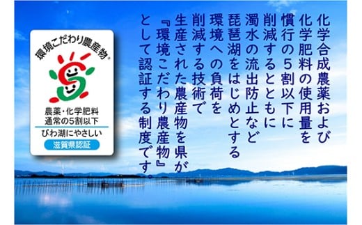 【7年産】近江米 環境こだわり米 ミルキークイーン 無洗米【5kg×1】【BN16W】