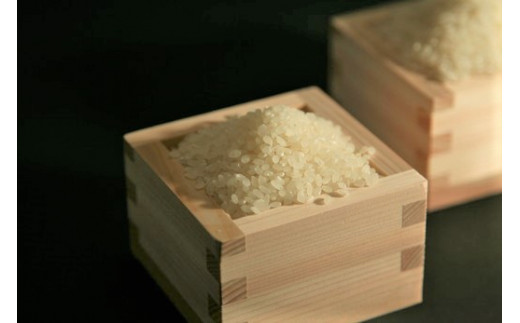 【新米　先行予約】令和8年産近江米　コシヒカリ 白米【5kg×1袋】【V022W】