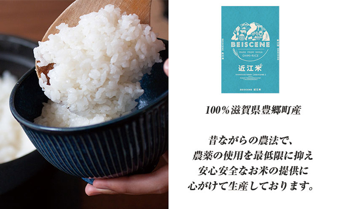 【寄附額見直しました】 特A受賞歴 米 5kg みずかがみ 無洗米 令和7年産 お米 ミズカガミ 近江米 こめ コメ