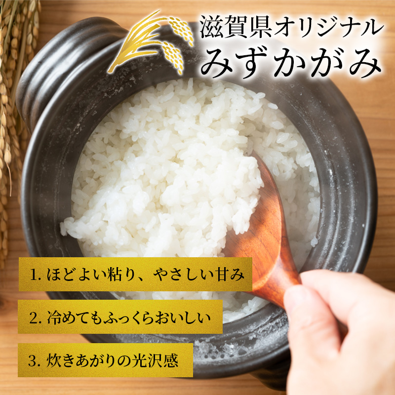 【令和8年産】 先行予約 新米 みずかがみ 5kg 3回定期便 令和8年産 定期便 米 精米 こめ コメ お米 ご飯 米 ミズカガミ 米定期便 3か月定期便 3ヶ月定期便 3回 3ヶ月 3か月 滋賀県 豊郷 豊郷町
