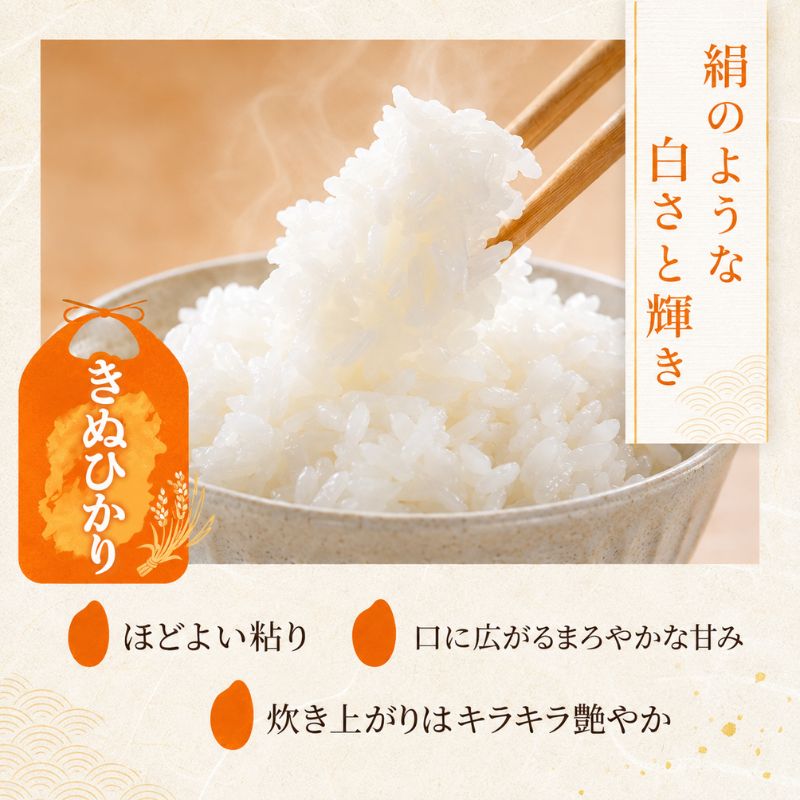 【令和8年産】 先行予約 新米 きぬひかり 5kg 6回定期便 令和8年産 定期便 米 精米 こめ コメ お米 ご飯 米 キヌヒカリ 米定期便 6か月定期便 6ヶ月定期便 6回 6ヶ月 6か月 滋賀県 豊郷 豊郷町