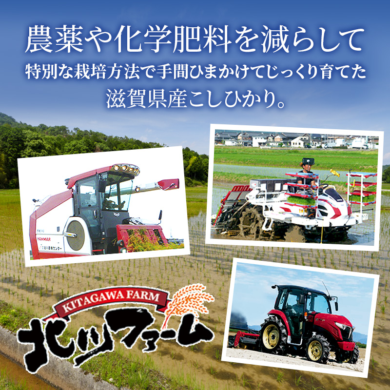 【令和7年産】 米 近江米 白米 3kg 高級もち米 お米 こめ コメ おこめ 餅米 滋賀県 豊郷町