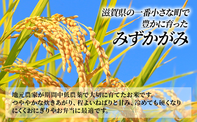 【寄附額見直しました】 特A受賞歴 みずかがみ 5kg 滋賀県 豊郷町産 近江米 お米 令和7年産 米  ミズカガミ こめ コメ