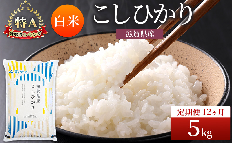 コシヒカリ 白米 5kg 定期 12回　米 コメ お米 こめ 精米 こしひかり 滋賀県 豊郷町