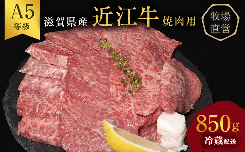 【最短1週間発送】 A5ランク 近江牛 焼肉 肉 牛肉 雌牛 焼肉用 約850g （モモ・カタ・ウデ・バラ系等） ふるさと納税 お肉 バーベキュー バラ(カルビ) ブランド牛 黒毛和牛 滋賀県 豊郷町