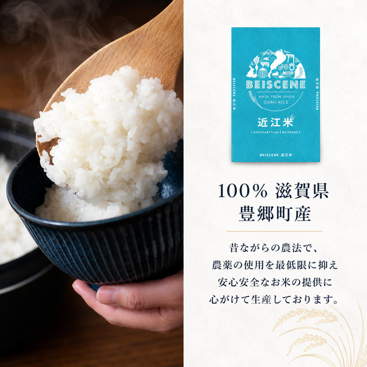 【令和8年産】新米 先行予約 米 定期便 ミルキークイーン 近江米 白米 10kg 10kg×5ヶ月 お米 ごはん ライス 主食 おにぎり 定期 5回 滋賀県 豊郷町