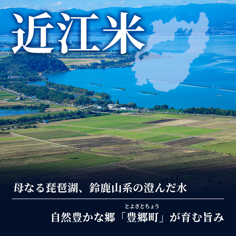 【令和8年産】 先行予約 新米 きぬむすめ 5kg 令和8年産 米 精米 こめ コメ お米 ご飯 米 近江米 キヌムスメ 5キロ 令和8年 令和8年度産 令和八年産 滋賀県 豊郷 豊郷町