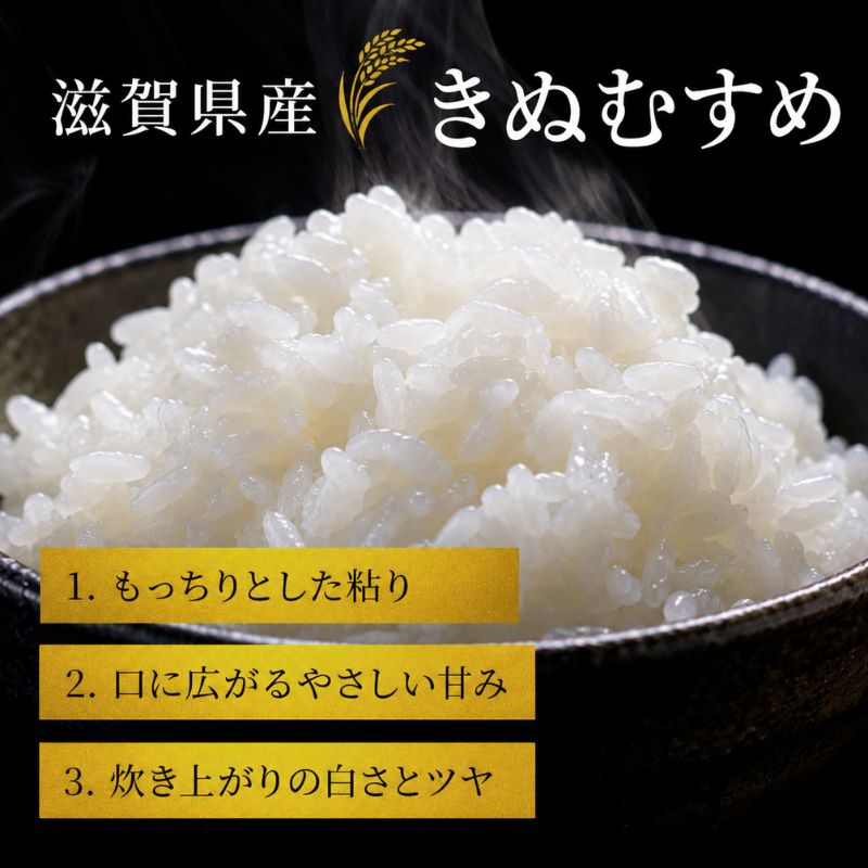 【令和8年産】 先行予約 新米 きぬむすめ 5kg 令和8年産 米 精米 こめ コメ お米 ご飯 米 近江米 キヌムスメ 5キロ 令和8年 令和8年度産 令和八年産 滋賀県 豊郷 豊郷町
