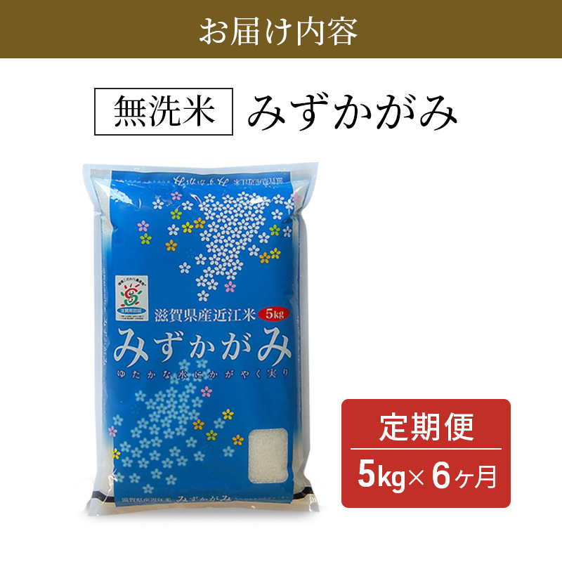 特A受賞歴 定期便 6ヶ月 5kg みずかがみ BG無洗米 無洗米 令和7年産 滋賀県産 米 近江米 ミズカガミ 時短 定期 6回