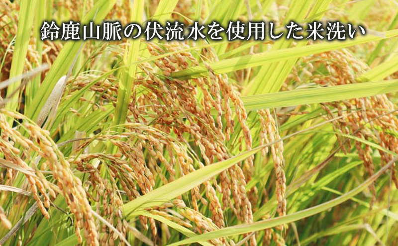 【最短1週間発送】長寿 金亀 大吟醸 2本セット (生原酒） 藍40、黒50 720ml×2本 岡村本家 地酒 滋賀 豊郷