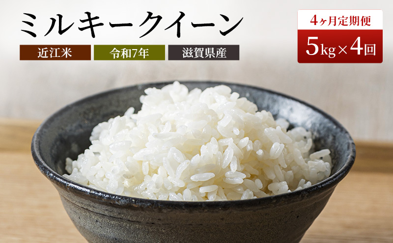 【令和7年産】 米 定期便 ミルキークイーン 近江米 白米 5kg 4ヶ月連続 こめ 滋賀県 豊郷町