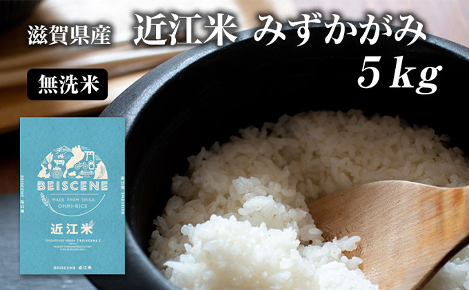 【寄附額見直しました】 特A受賞歴 米 5kg みずかがみ 無洗米 令和7年産 お米 ミズカガミ 近江米 こめ コメ