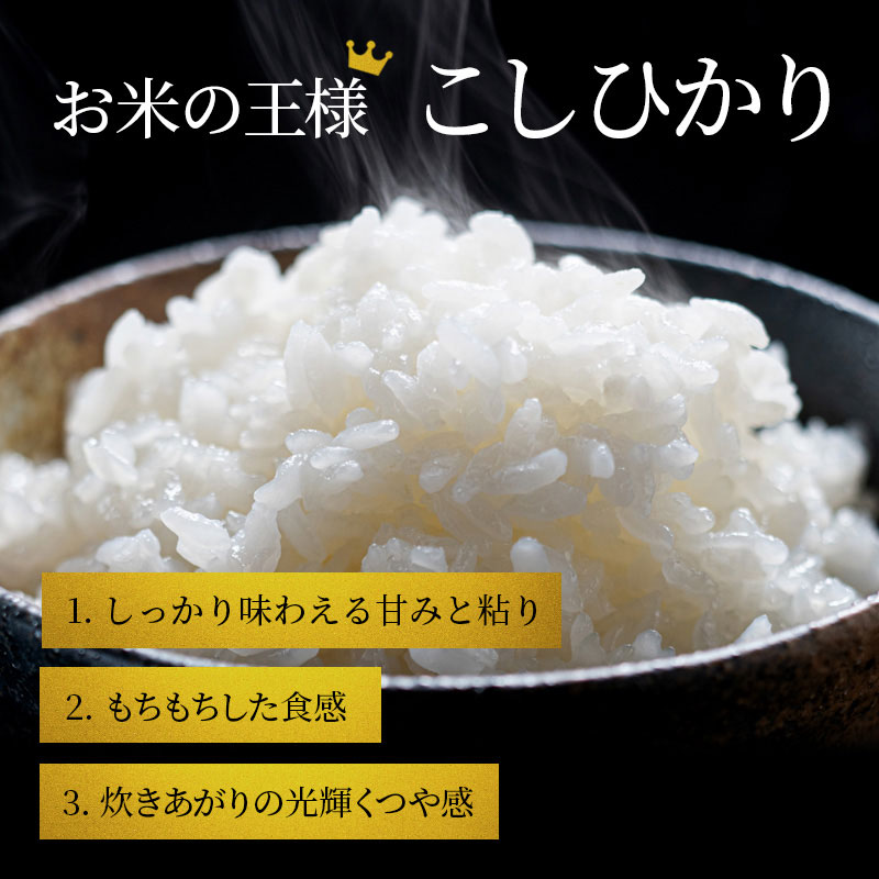 【令和8年産】 先行予約 新米 こしひかり 5kg 12回定期便 令和8年産 定期便 米 精米 こめ コメ お米 ご飯 米 コシヒカリ 米定期便 12か月定期便 12ヶ月定期便 12回 12ヶ月 12か月 滋賀県 豊郷 豊郷町