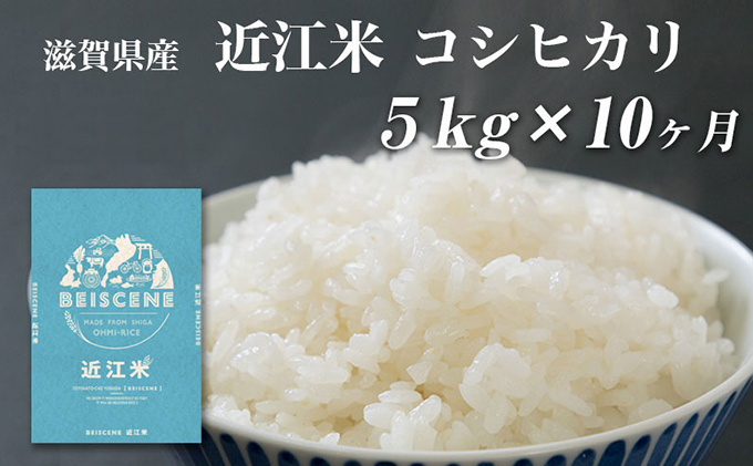 【寄附額見直しました】 特A受賞歴 定期便 コシヒカリ 5kg×10ヶ月 令和7年産 滋賀県豊郷町産 近江米 お米 白米 ごはん ライス 主食 炭水化物 おにぎり 定期 10回
