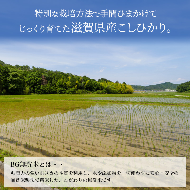 特A受賞歴 こしひかり 5kg BG無洗米 令和7年産 滋賀県産 米 近江米 コシヒカリ 時短