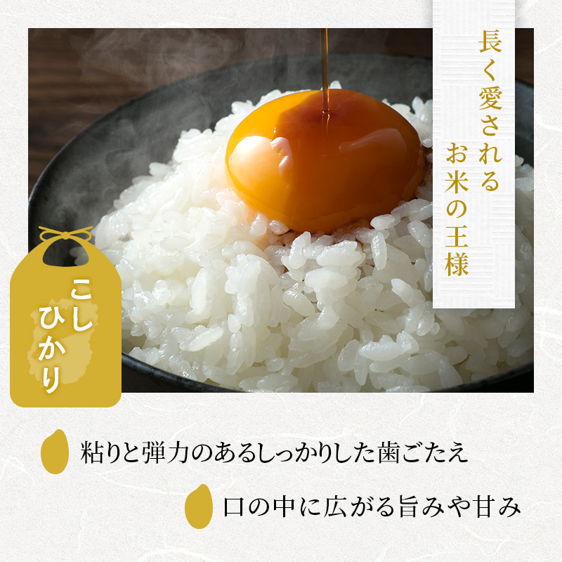 コシヒカリ 白米 5kg 定期 12回　米 コメ お米 こめ 精米 こしひかり 滋賀県 豊郷町