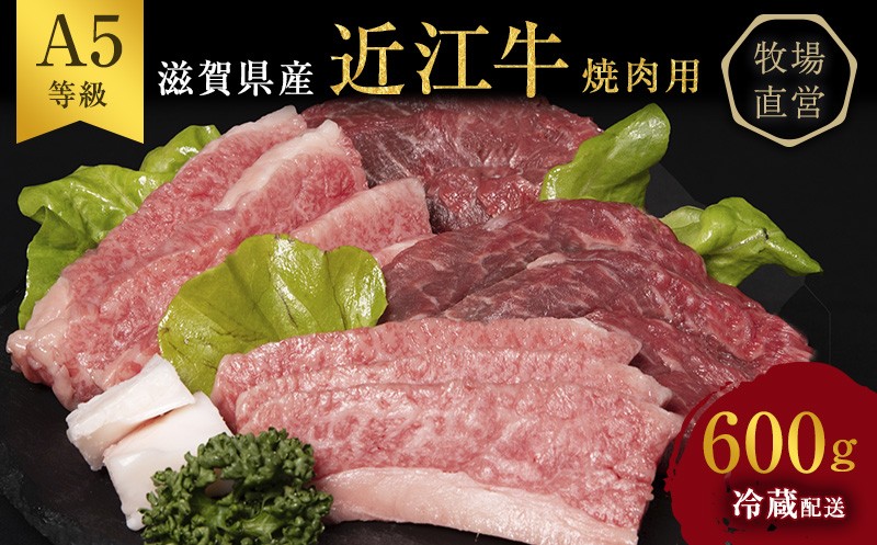 【最短1週間発送】 A5 近江牛 焼肉 肉 牛肉 雌牛 約600g モモ・カタ・ウデ・バラ系等 黒毛和牛 焼き肉 焼肉用 お肉 牛 和牛 ブランド牛 滋賀県 豊郷町