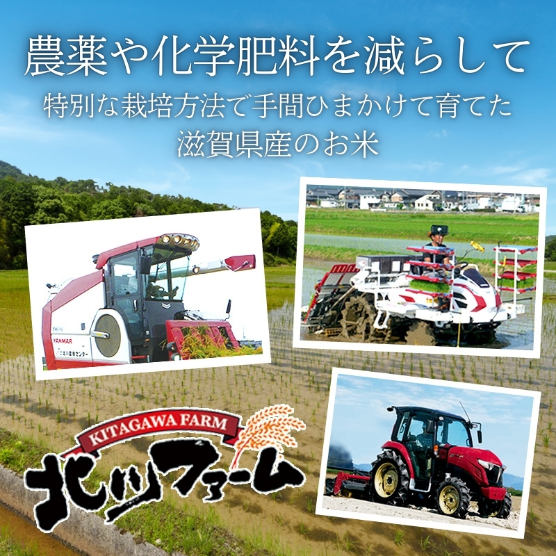 【令和7年産】 米 定期便 ミルキークイーン 近江米 白米 5kg 4ヶ月連続 こめ 滋賀県 豊郷町