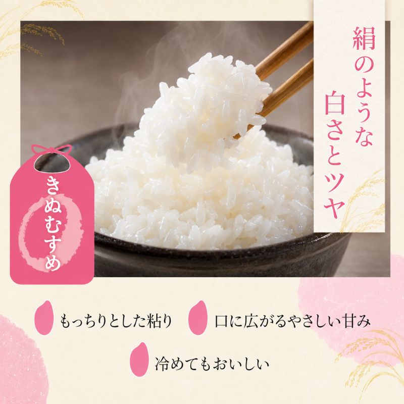 【令和8年産】 先行予約 新米 きぬむすめ 5kg 6回定期便 令和8年産 定期便 米 精米 こめ コメ お米 ご飯 米 キヌムスメ 米定期便 6か月定期便 6ヶ月定期便 6回 6ヶ月 6か月 滋賀県 豊郷 豊郷町