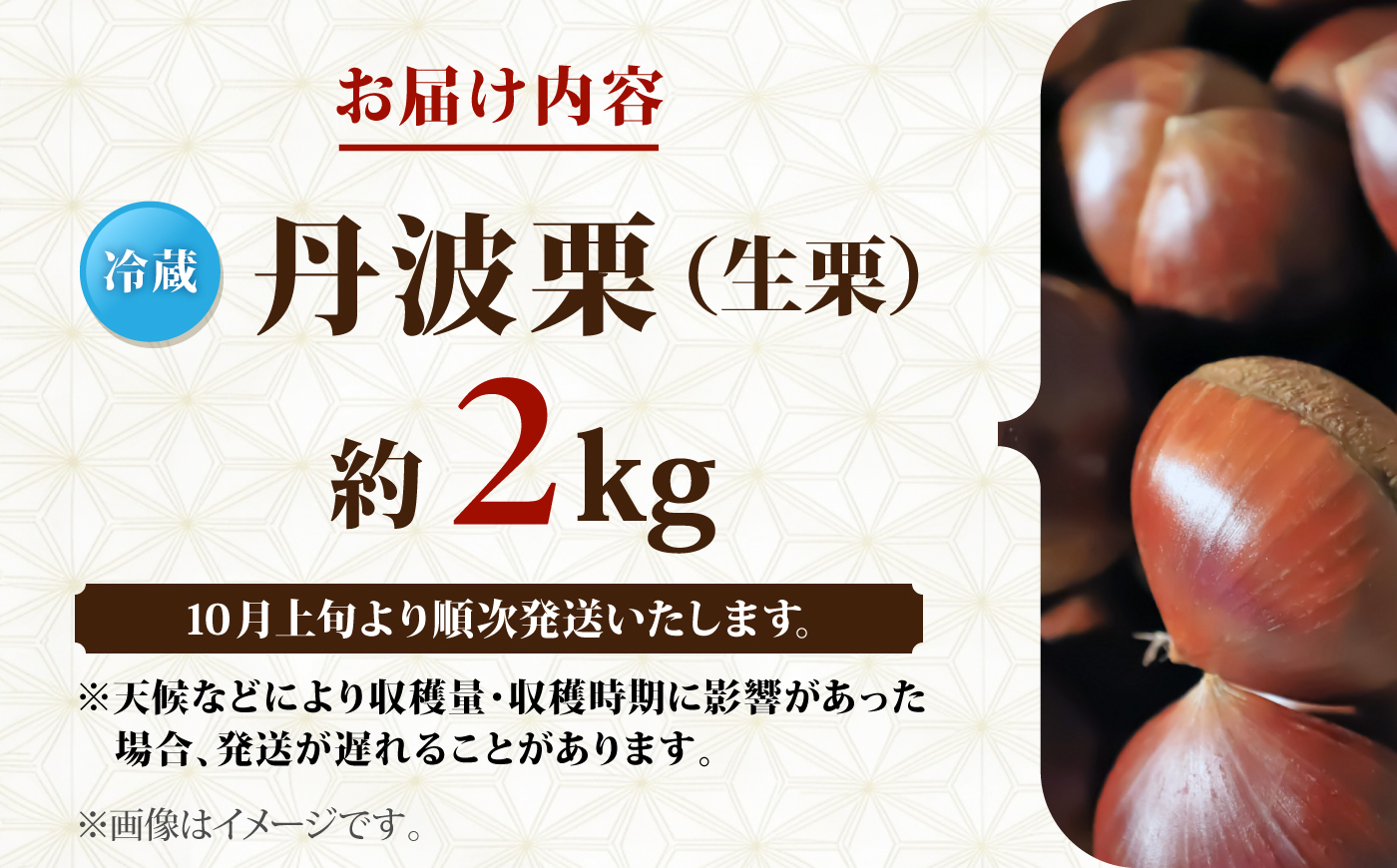 丹波栗 約2kg（生栗） / 栗 フルーツ ギフト 綾部市 / 旭町観光栗林園［BSBP002］
