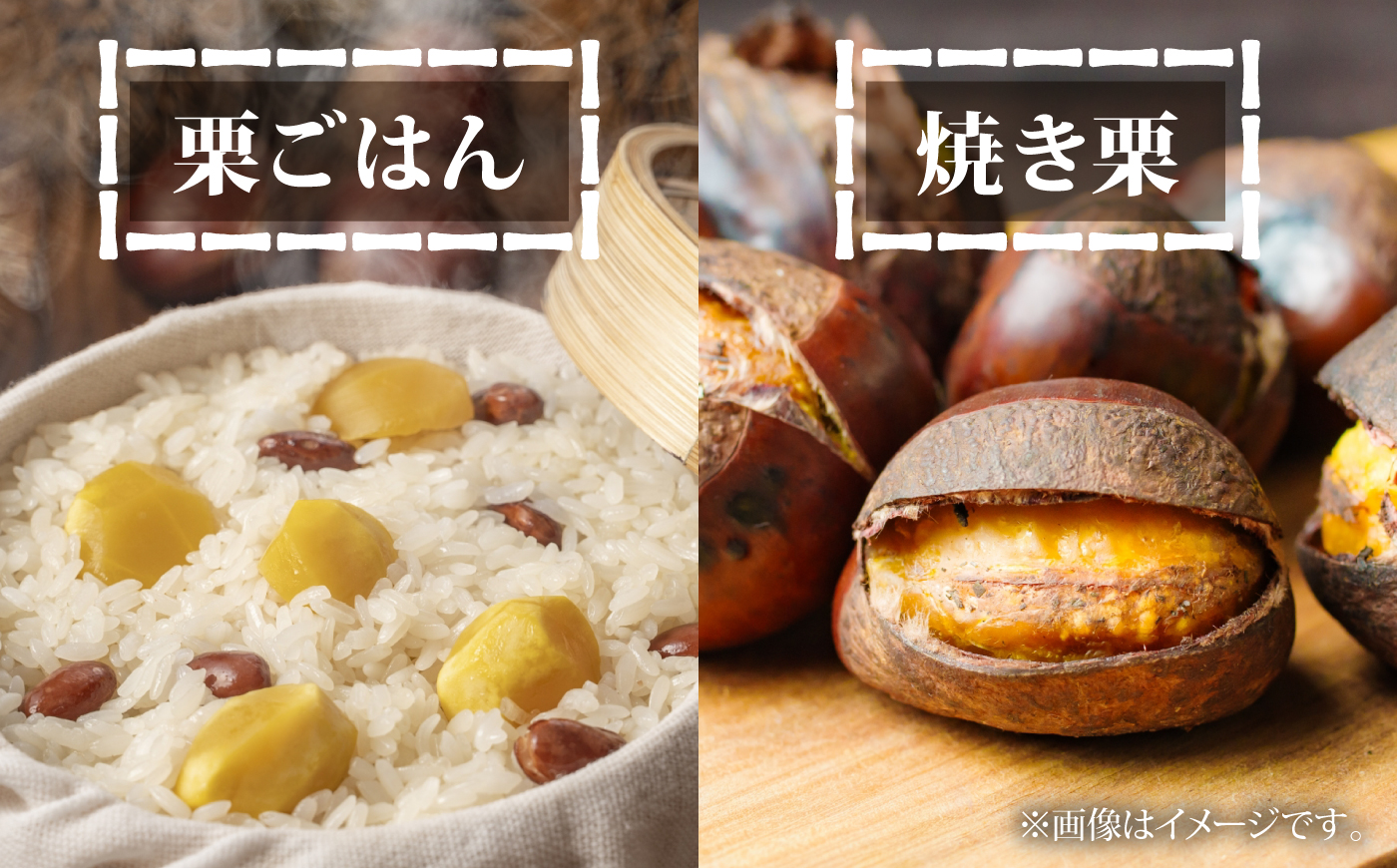 丹波栗 約2kg（生栗） / 栗 フルーツ ギフト 綾部市 / 旭町観光栗林園［BSBP002］