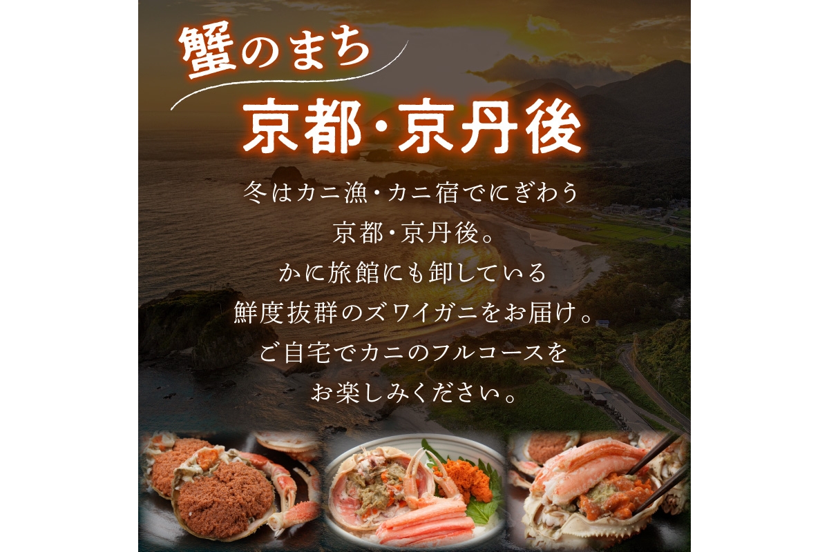 【期間エリア限定！】厳選！絶品！ 釜茹で セイコ蟹8杯 海鮮 かに カニ 蟹 セイコ蟹 セコガニ せこ蟹 ズワイガニ ズワイ蟹 コッペ ボイル 海産物 魚介類 ふるさと納税 カニ ふるさと納税 セイコガニ