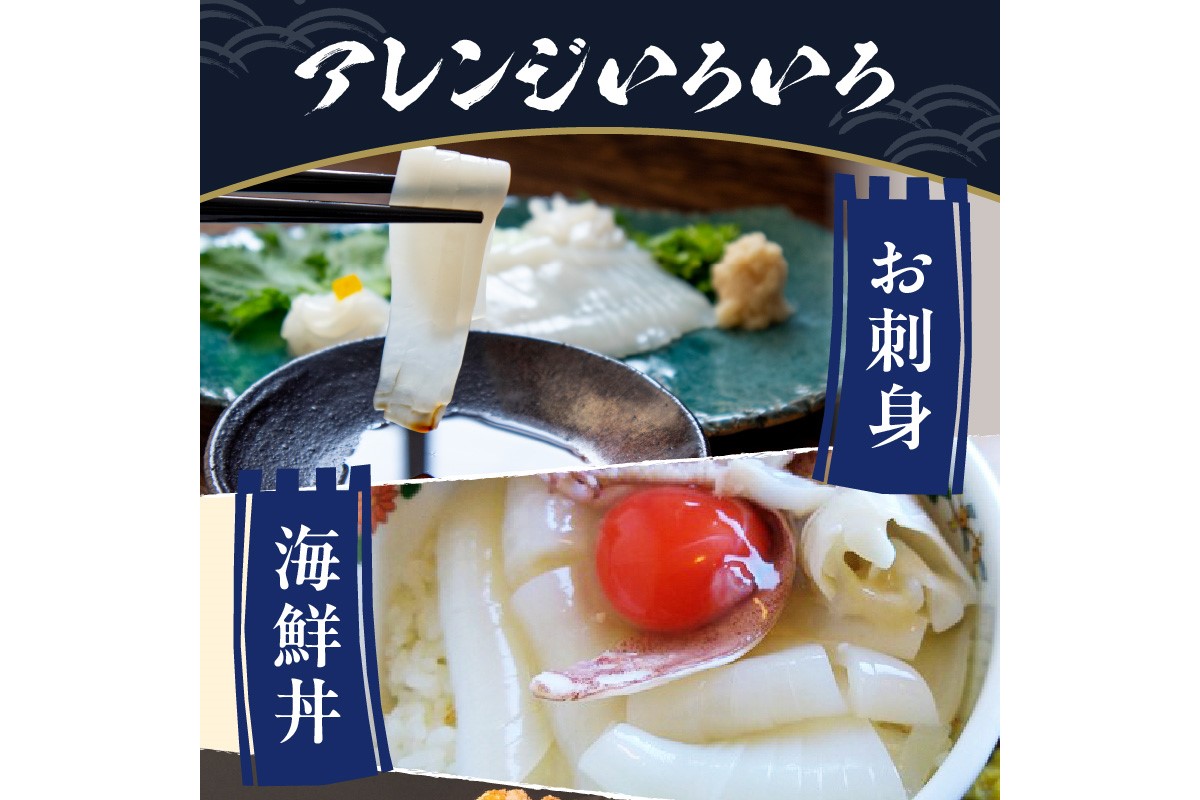 日本海産『海の京都』の逸品！！　活白イカ姿造り（クリスタル白いか）中サイズ 1杯（200g前後）（2027年6月上旬～発送） ふるさと納税 海鮮 鮮度抜群 新鮮 海鮮 いか イカ 簡単調理 生産者応援 送料無料 生食 魚介類 活イカ