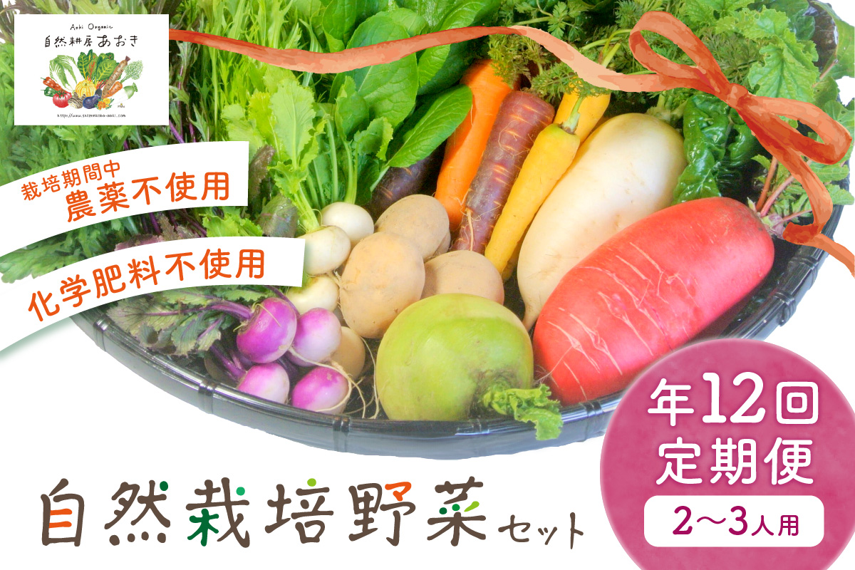 自然栽培野菜セット（年12回）2~3人用　定期便　月1回×12ヵ月