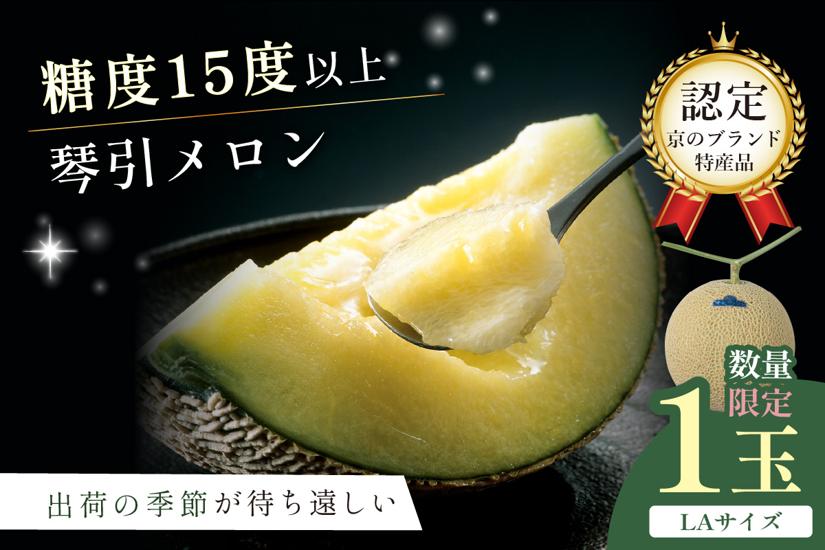 【数量限定950】京のブランド産品 京たんごメロン 琴引メロン LAサイズ 1玉（2026年6月下旬～発送）