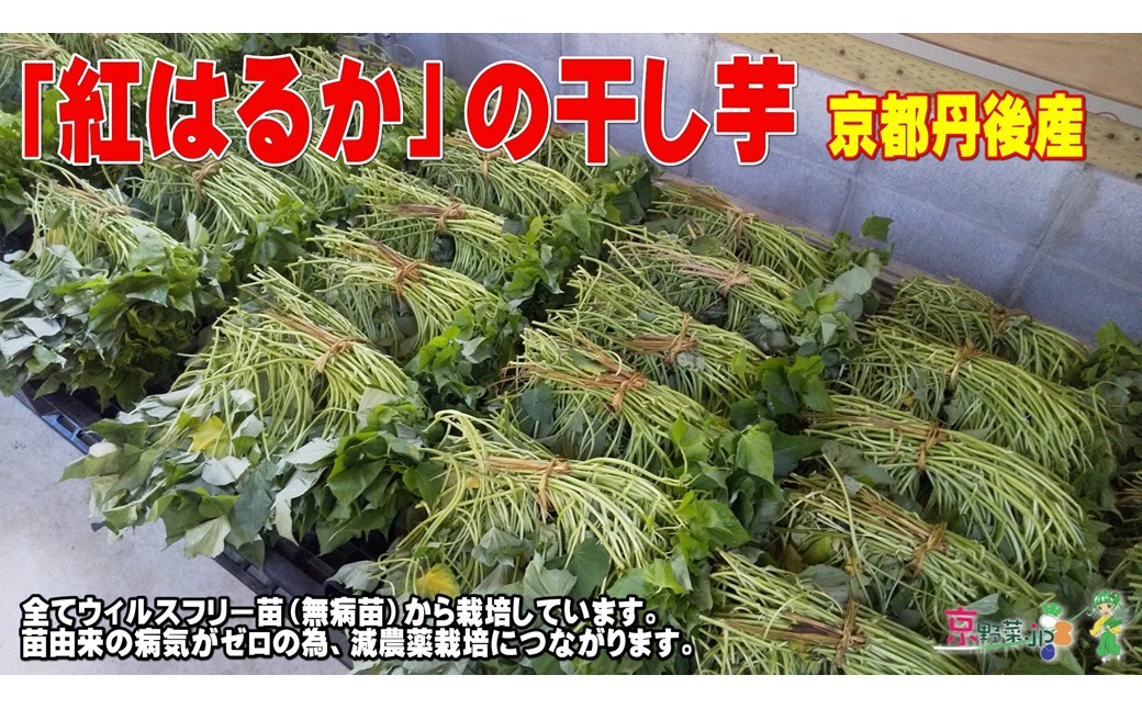 紅はるかの干し芋（京都産） 150g×2パック入　国産 紅はるか 和菓子 さつまいも ほしいも ふるさと納税 干し芋