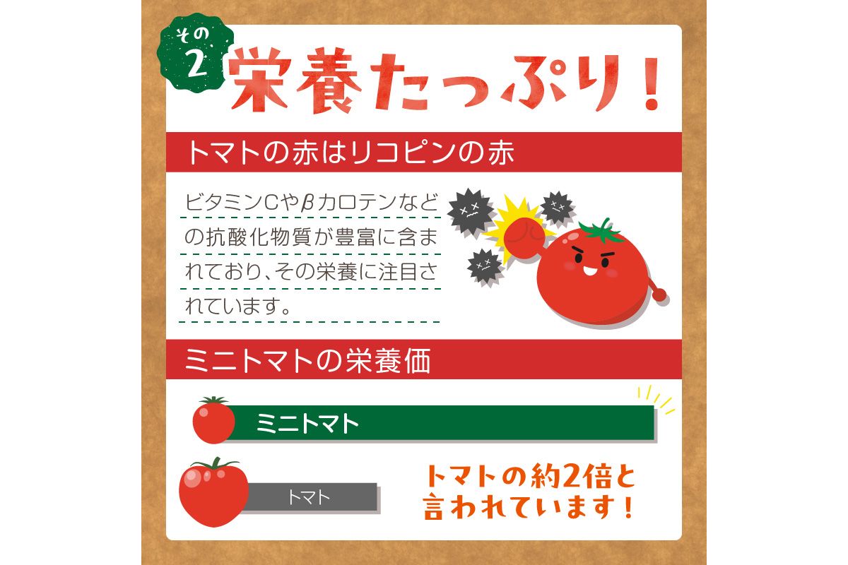 【先行予約】訳あり 宝石のような輝き！カラフルミニトマト 約1.5kg（秋冬）（2026年10月上旬～発送）