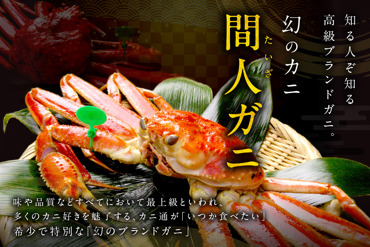 かに卸し問屋がお届け・浜競り厳選！幻の活間人ガニ 800ｇ～900ｇ 大サイズ（1月～3月発送）／北畿水産
