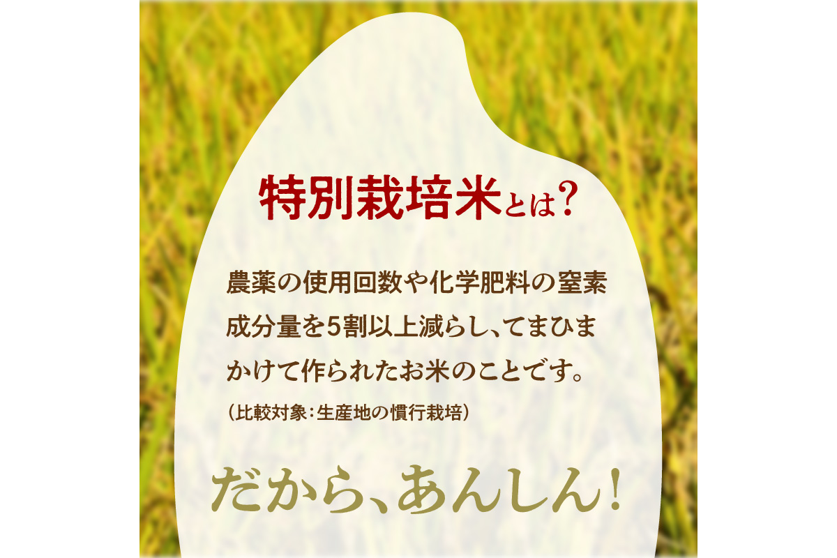 令和8年産 特別栽培米コシヒカリ 丹後椿（京丹後森本産） 2kg