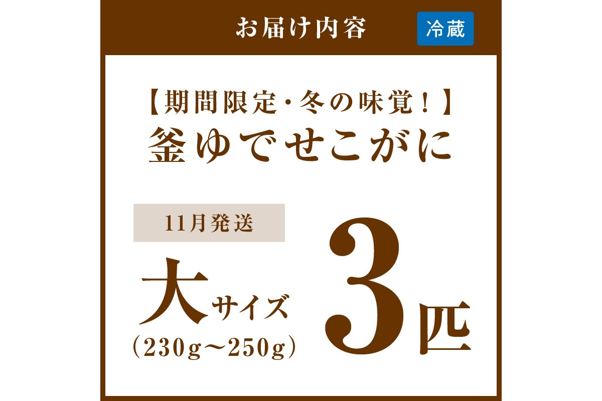 【期間限定・冬の味覚！】釜ゆでせこがに 大サイズ (230ｇ～250ｇ) 3匹入り （11月発送）／北畿水産 蟹 魚介類 魚介 せこかに ふるさと納税 かに