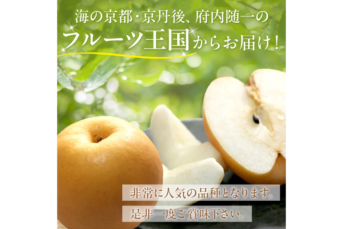 【先行予約／数量限定150】京丹後産 新興梨 5kg（8～14玉入り）（2026年10月中旬～発送）