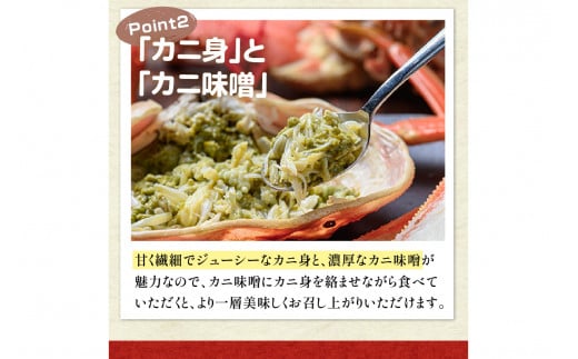 【蟹の匠 魚政】京丹後市産 未冷凍 茹で間人ガニ大善ガニ 特撰 中サイズ（800～900g）1匹（11月～12月発送）