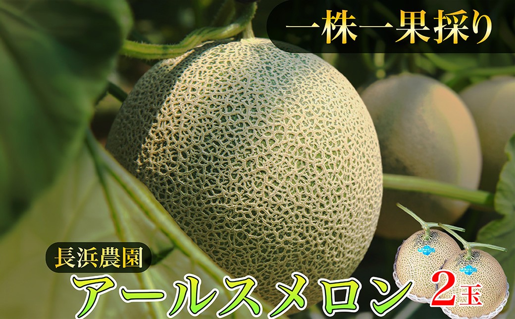 【数量限定50】アールスメロン（ネットメロン） 2玉（2027年7月上旬～発送） 国産 フルーツ 果物 メロン 甘い 糖度 ハウス栽培 リピート めろん ふるさと納税 メロン ふるさと納税 期間限定　NG00016