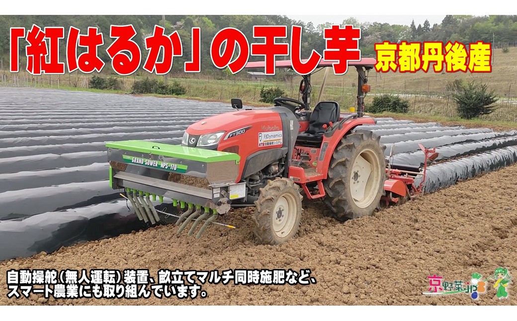 紅はるかの干し芋（京都産） 150g×2パック入　国産 紅はるか 和菓子 さつまいも ほしいも ふるさと納税 干し芋