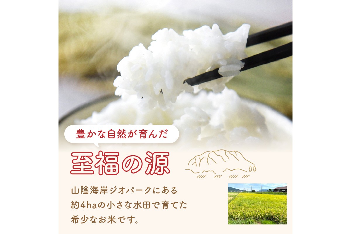 【先行予約】丹後弥栄産コシヒカリ（玄米10kg） コシヒカリ 玄米 おこめ おにぎり 京都産 お米 ふるさと納税 こしひかり