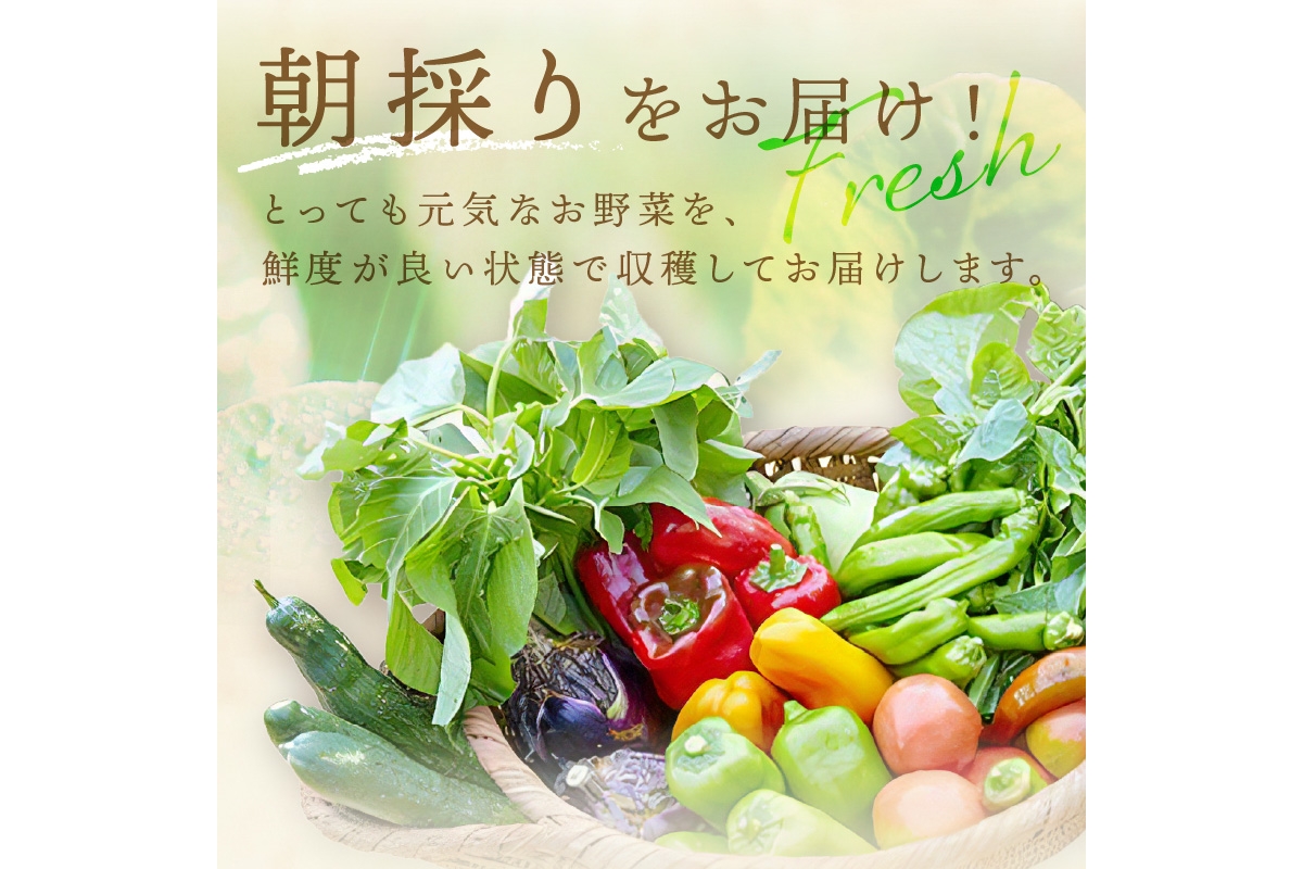 ＜てんとうむしばたけ＞オーガニック野菜セット　有機野菜6～7種(2人用)