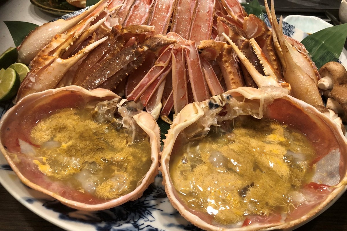 【幻のズワイ蟹】京丹後産 活間人蟹 鮮度抜群、活きたままお届け！！ 800g級×1杯