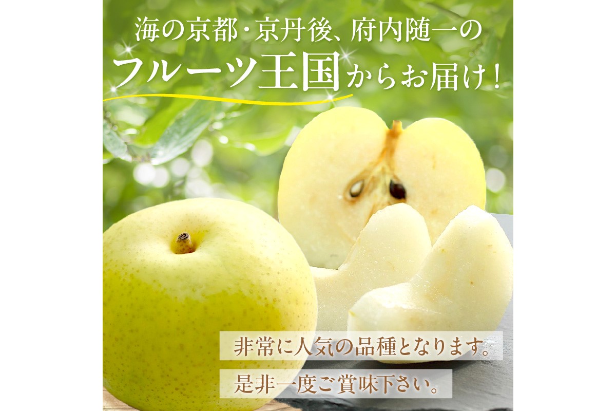 【先行予約／数量限定150】京丹後産 20世紀梨 5kg（12～16玉入り）（2026年9月上旬～発送）