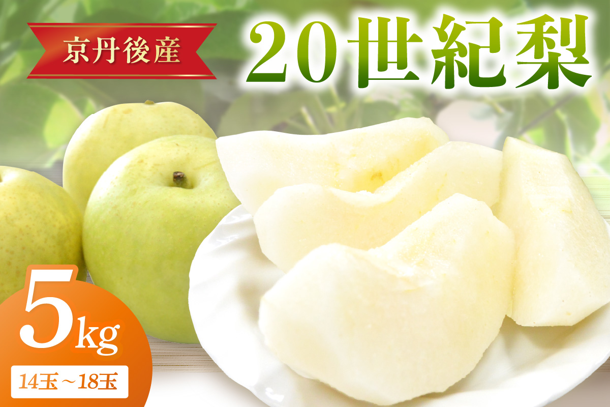 【先行予約／数量限定150】20世紀梨 5kg（2026年9月上旬～発送）